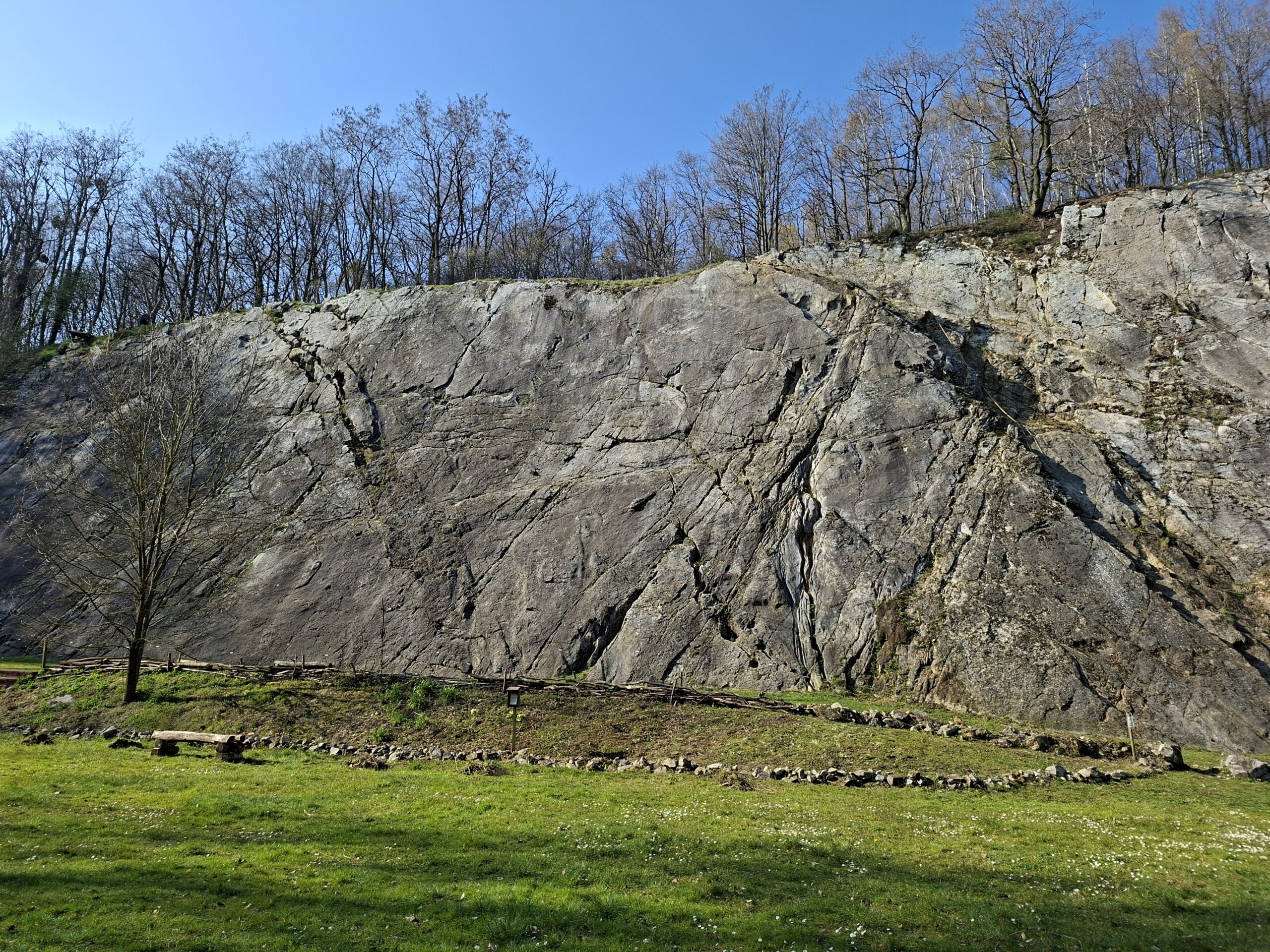 Services-01 20260322 152359 Scaled